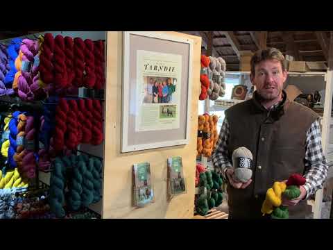 The Big Wool Show 2021 - meet Tom from Tarndwarncoort