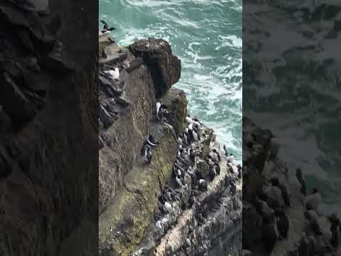 Loop head lighthouse