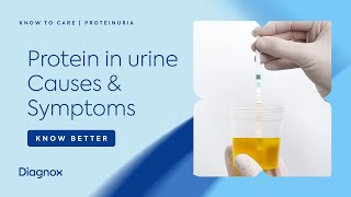Protein In Urine - Proteinuria | Causes And Symptoms Of Protein In Urine | Diagnox
