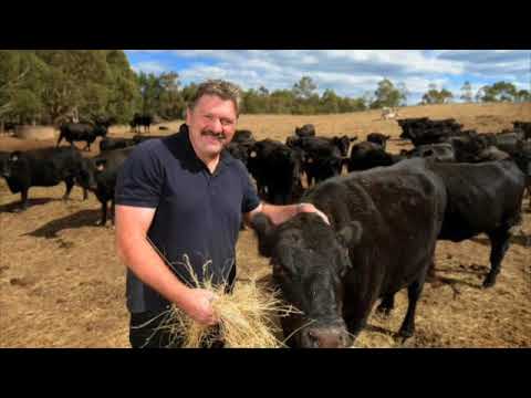 09/09/2017 Brian Receives A Bill For His Bull