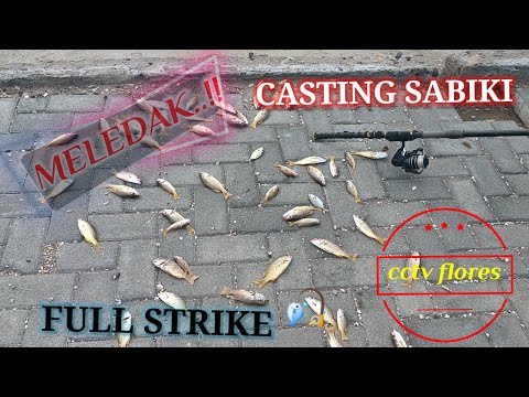 CASTING PINGGIRAN PANTAI PAKE SABIKI || RINTAS,RAWE HASILNYA MELEDAK..!!!