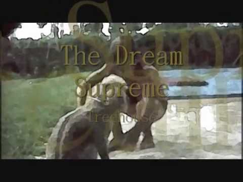 The dream supreme / Treehouse