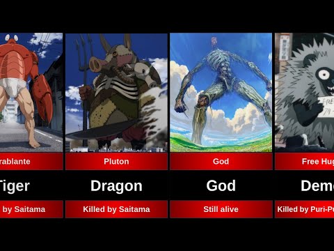 MONSTERS & OTHERS DISASTER LEVEL IN ONE PUNCH MAN. WHO IS DRAGON OR GOD LEVEL?