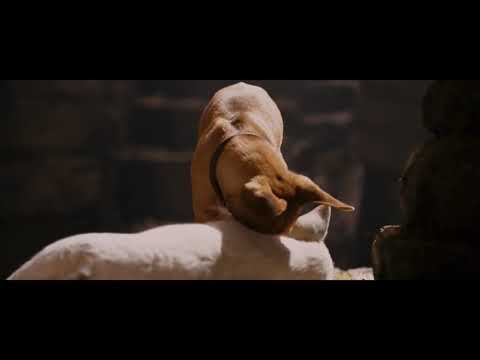 beverly hills chihuahua (2008) - takedown
