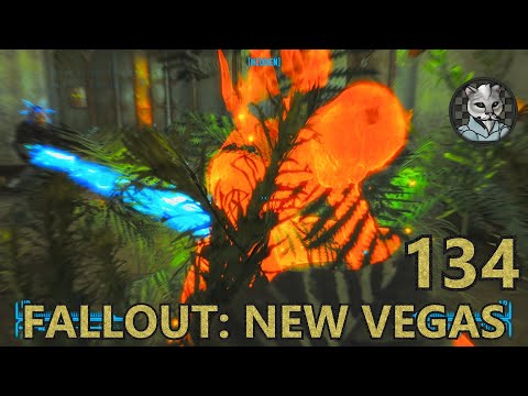 Checkers' Fallout: New Vegas - Let's Play 134 - Starting Vault 22