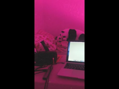 Niacavaon - would you call me when I'm dead x dreamer (music video) prod. by 19hearts