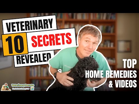 Dr Jones' Top 10 Home Remedies