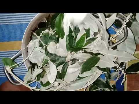 Ebe awon agba. Asina todaju. Contact or WhatsApp for detail 09072880398 #london #uk #nigeria #africa