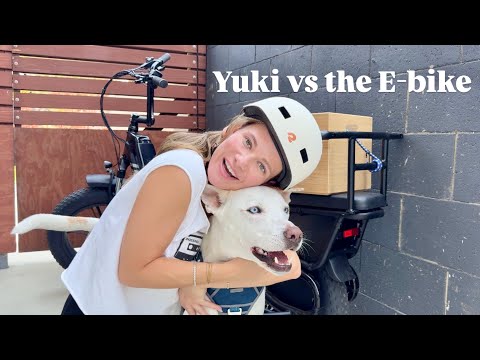 Can Yuki out run the E-bike on our adventure?