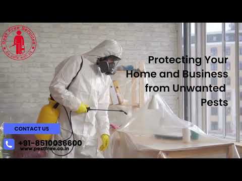 Pest Control Services