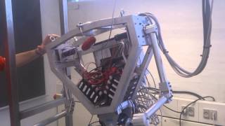preview picture of video 'AAU-BOT1 lifting its feet'
