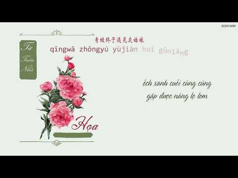 [Vietsub+Kara] Họa | 画 TIKTOK - Từ Tuấn Nhã | 徐俊雅