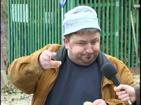 TV Cazin Novogodišni program 2008 - Cazinski nadrealisti