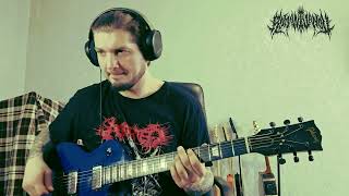 Aborted - The Inertia (guitar cover)