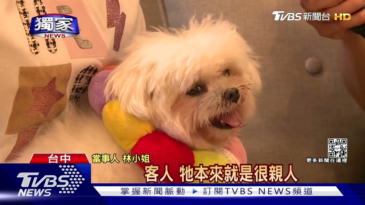 愛犬「Q比」遭單車男擄走 4天後癱瘓遭棄置