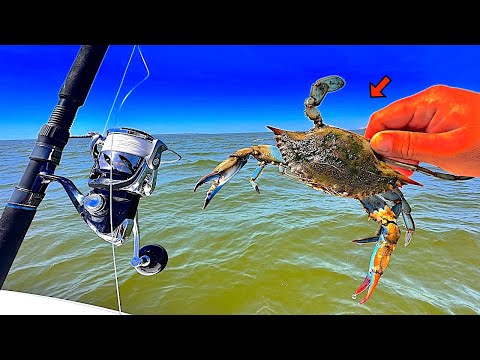 Fishing *BLUE CRABS* for Giant Bull Redfish! [Epic Results]