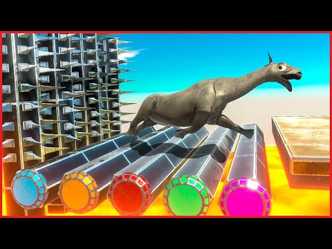 CAN SOMEONE PASS RING TRAP AND TNT WALL - Animal Revolt Battle Simulator