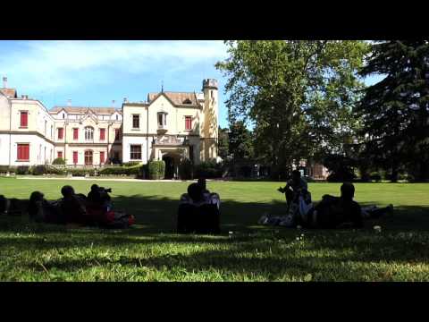 KTM RaceCamp CASTELLO DAL POZZO