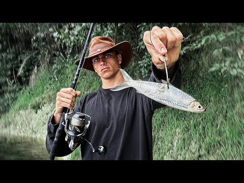 Amazonas BESTIE Fangen und Essen 😮 JAGD aufs Fluss Monster! 🦈