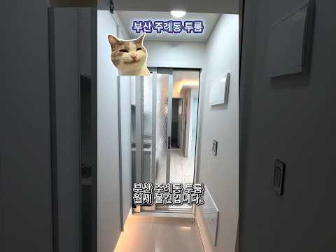 유튜브 쇼츠 썸네일