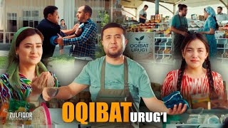 Shavkat Zulfiqor  Oqibat urugi Official Music Video