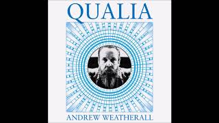 Andrew Weatherall - Saturday International