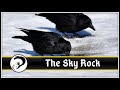 The Sky Rock by Dawn Vogel | Fantasy Short Audiobook