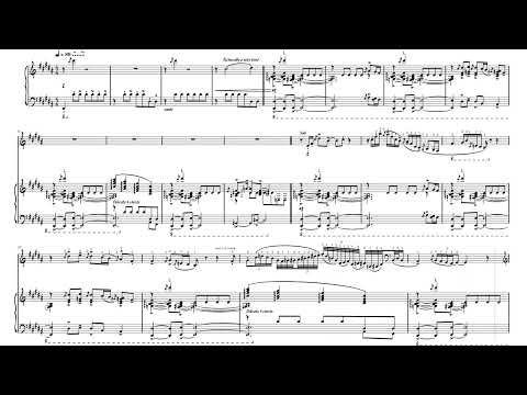 Velours Piano Arrangement - Anomalie (With Fingerings)