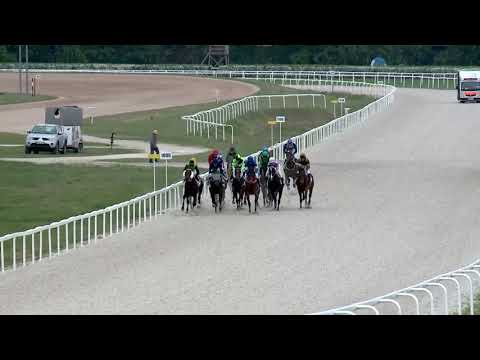 2019.04.28. 07. futam - BAKONYI HENDIKEP (V/b.) (szintetikus pálya)