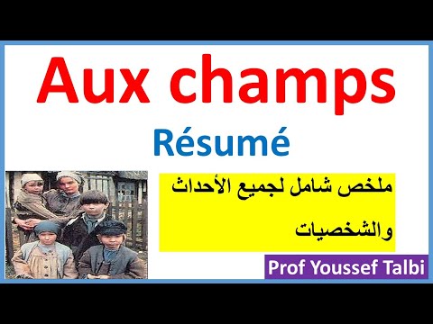 In the fields summary common core