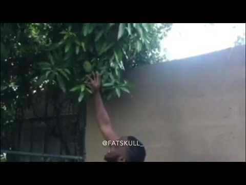 Prince pine hey tall girl