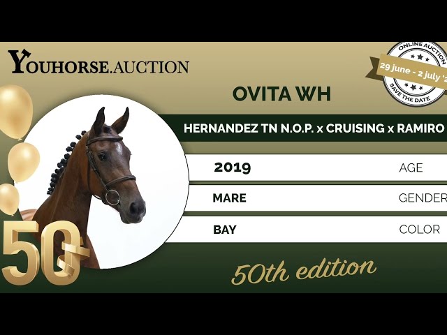 Ovita trainingsvideo