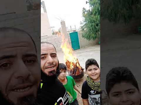 يا نار شبي من ضلوعي