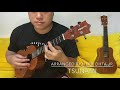 Tsunami 桑田佳祐- ukulele fingerstyle arranged by Herb Ohta Jr