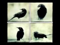 Humanfly - Heavy Black Snow (Ft. Rose Kemp ...
