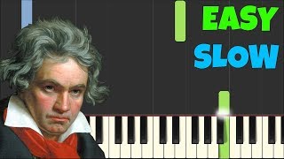 HOW TO PLAY Für Elise for Beginners Slow Easy Pia