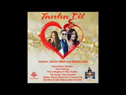Ashaay, Savita Singh & Raquel John - Tanha Dil (2022 Bollywood Remix) Big Rich