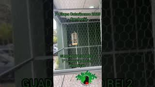  1ª ETAPA CATARINENSE 2025 - CAMBORIÚ/SC - GUADALUPE DO REI 2 - 1° LUG