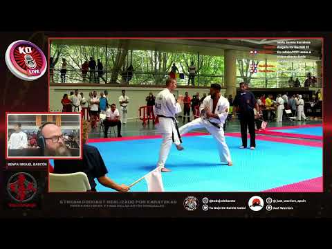 XIII EUROPEAN KYOKUSHIN UNION  Kristiyan Doychev (BUL) vs Sacha Decoster (SUI)