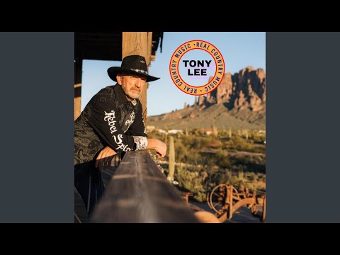 Working For Tips - Tony Lee