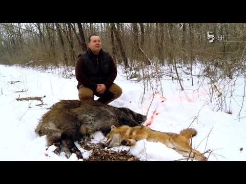 Mistretii din Valea Neagra