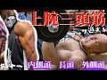 マニアックシリーズ【上腕三頭筋】バルキー小松流【腕トレ】もっこりデカイ三頭筋の創り方