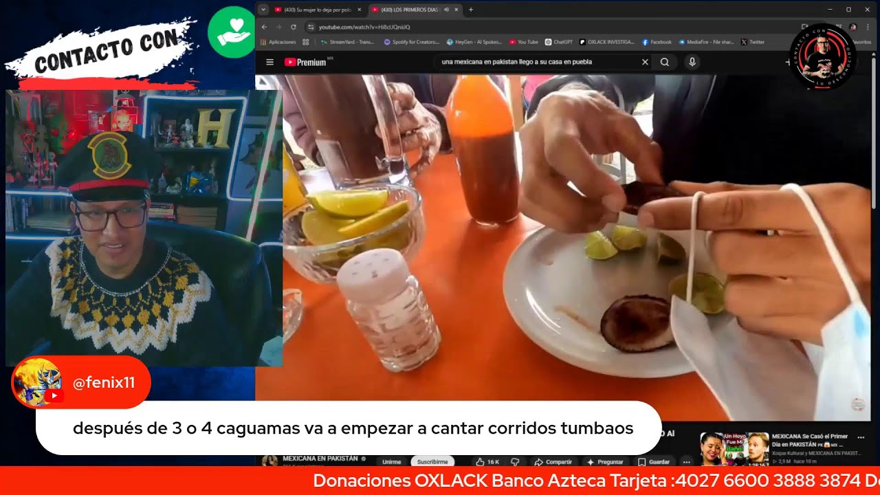 Pobre perro viejo Miado Parte 2