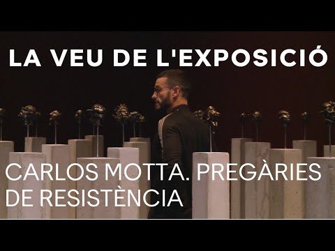 Carlos Motta | La veu de l'exposició