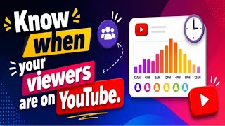 Know when your viewers are on YouTube