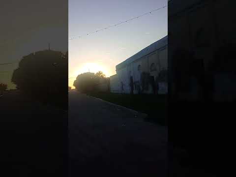 # choya Santiago del estero 😊.