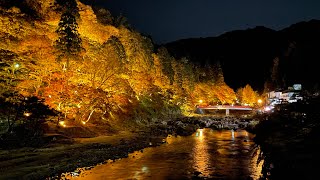 Autumn leaves are brightly shining at Korankie. 香嵐渓　#Korankie#autumn #autumncolors #autumnwalk