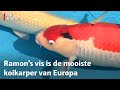 'Ik hield het niet droog toen ik het hoorde' | RTV Utrecht