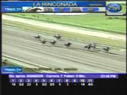 Resumen sábado 16 de julio 2011   La Rinconada