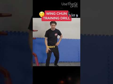10 Minute Wing Chun Workout Exercises -  Punching and Moving Part 9 #shorts